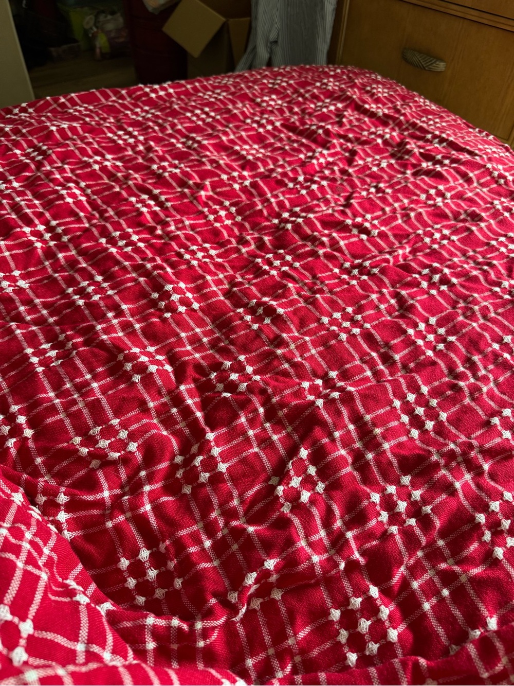 Red Tablecloth with White Embroidered Grid - Brand